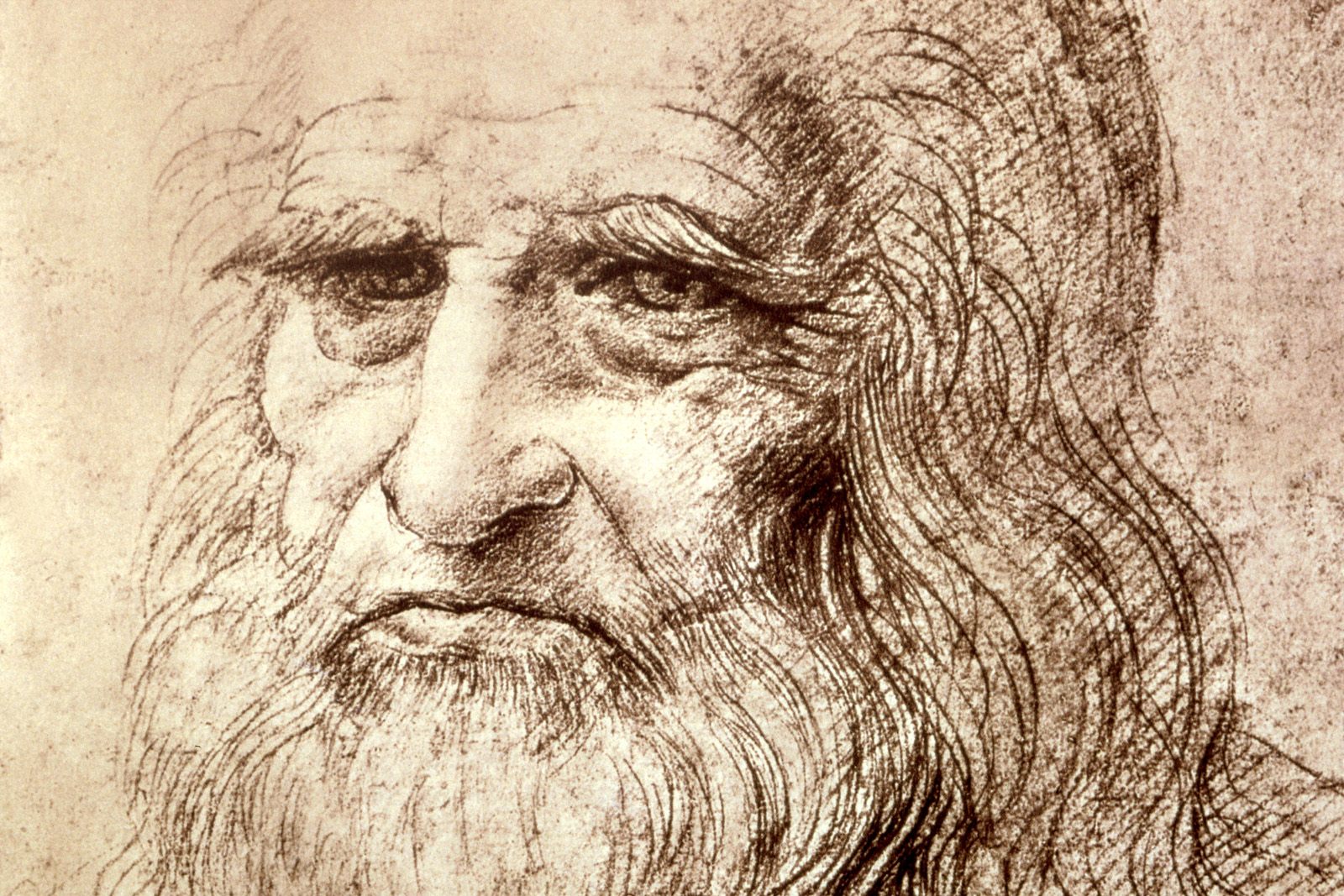 da vinci art quotes: Birthday Leonardo Da Vinci